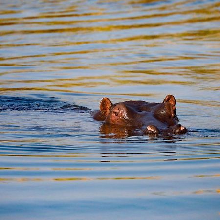 Zambezi Dusk Villa Livingstone Eksteriør bilde