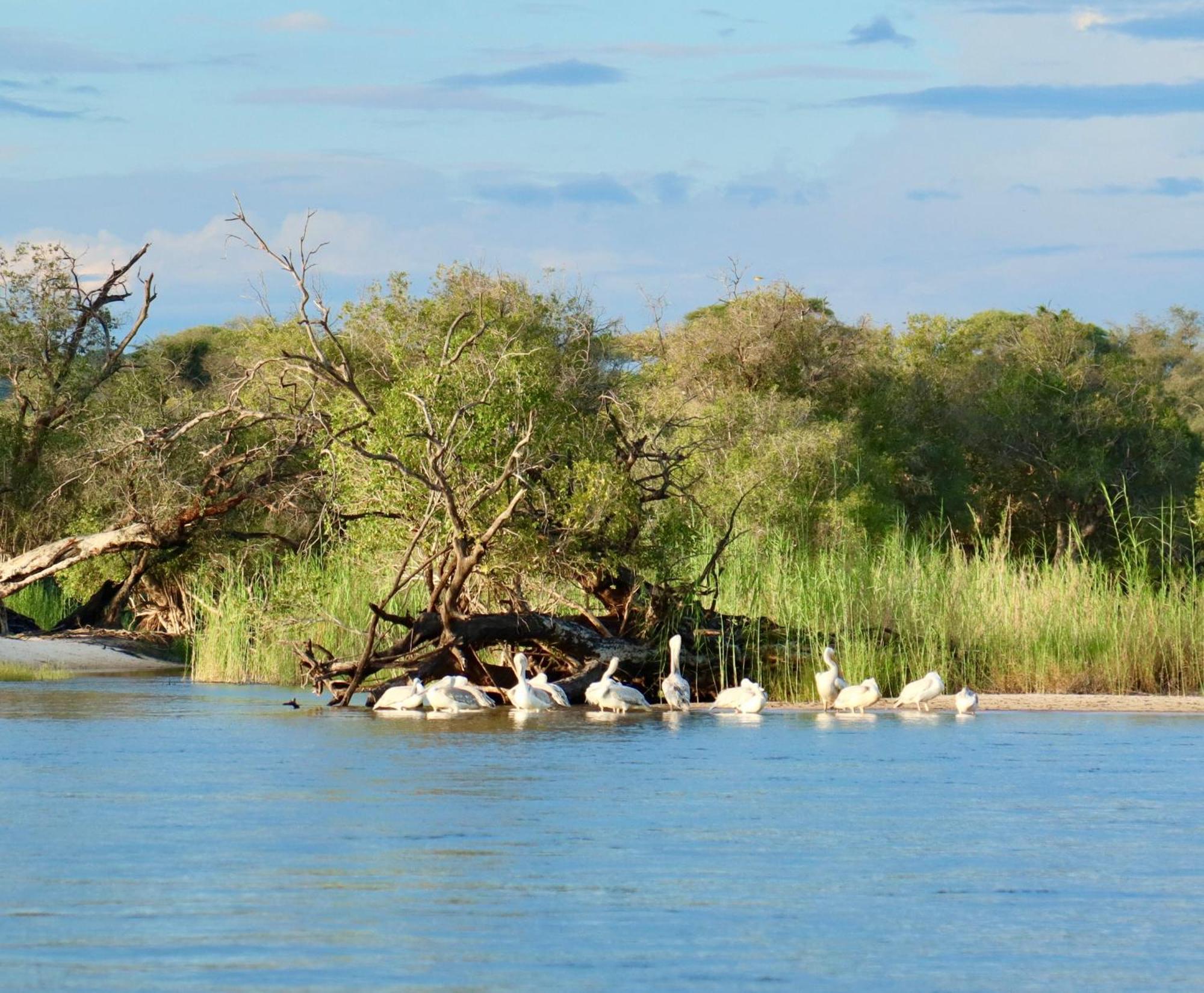 Zambezi Dusk Villa Livingstone Eksteriør bilde
