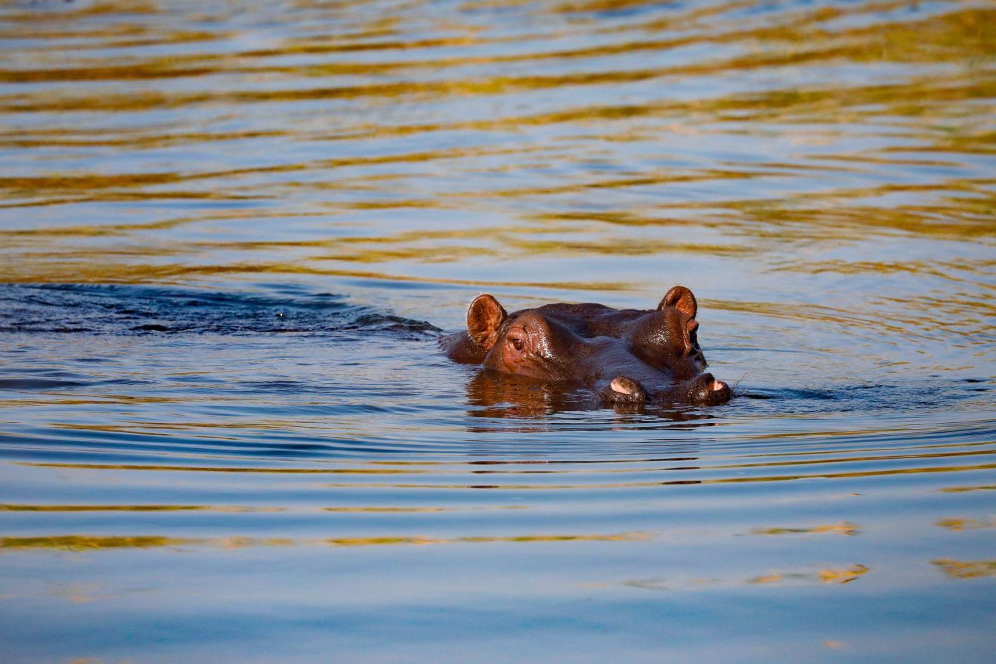 Zambezi Dusk Villa Livingstone Eksteriør bilde
