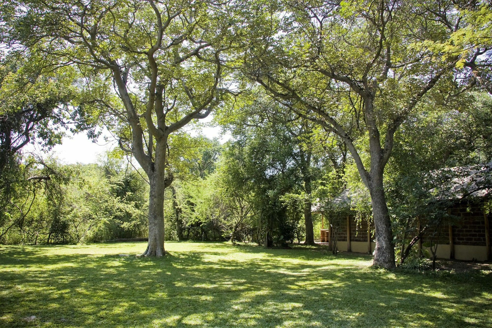 Zambezi Dusk Villa Livingstone Eksteriør bilde