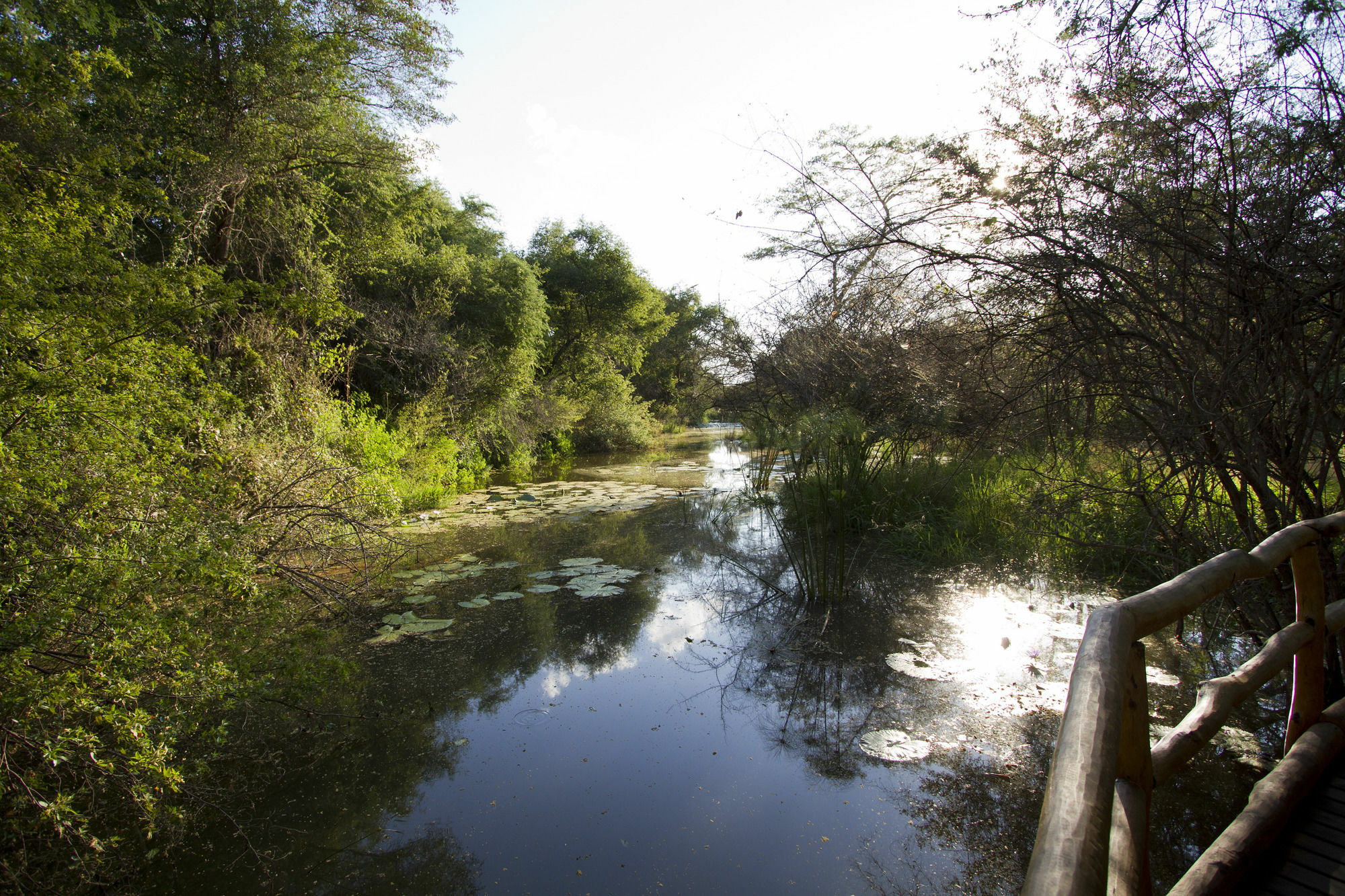 Zambezi Dusk Villa Livingstone Eksteriør bilde